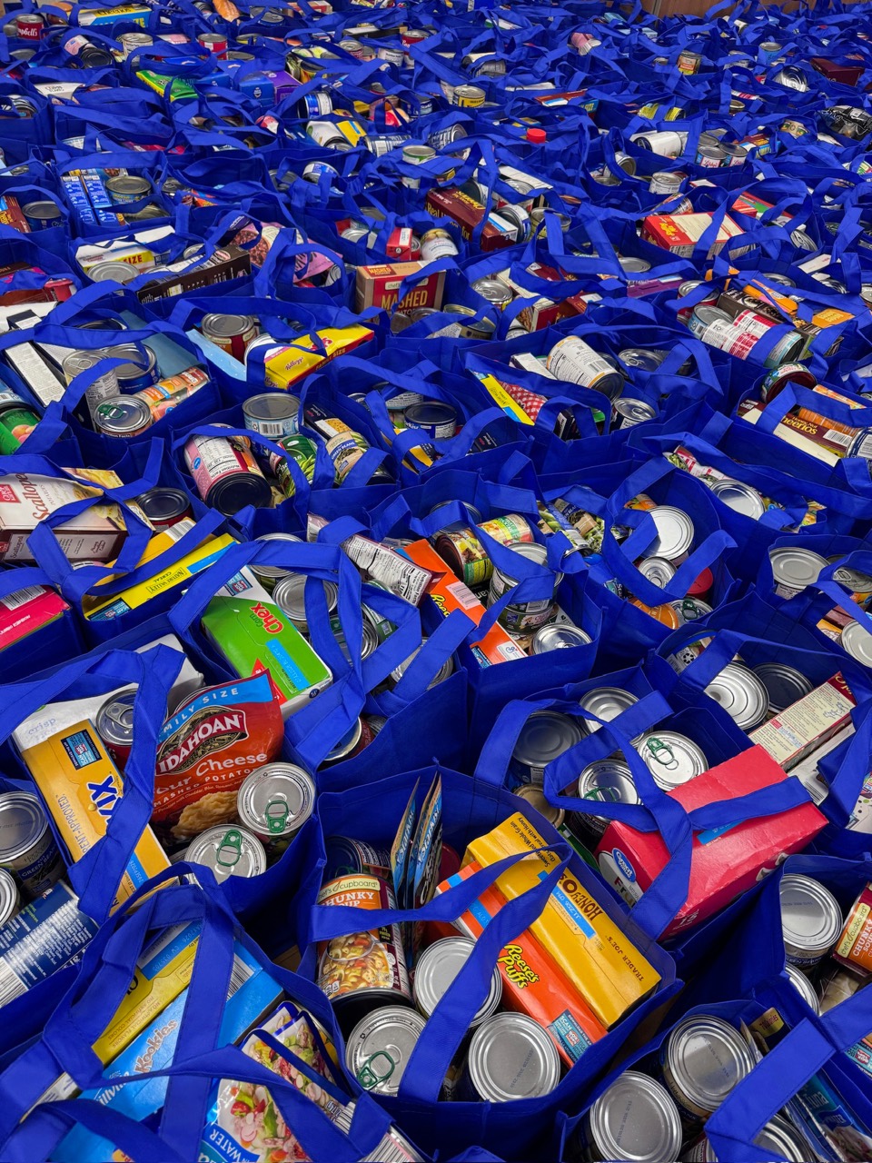 Rows of packed Operation One More grocery bags